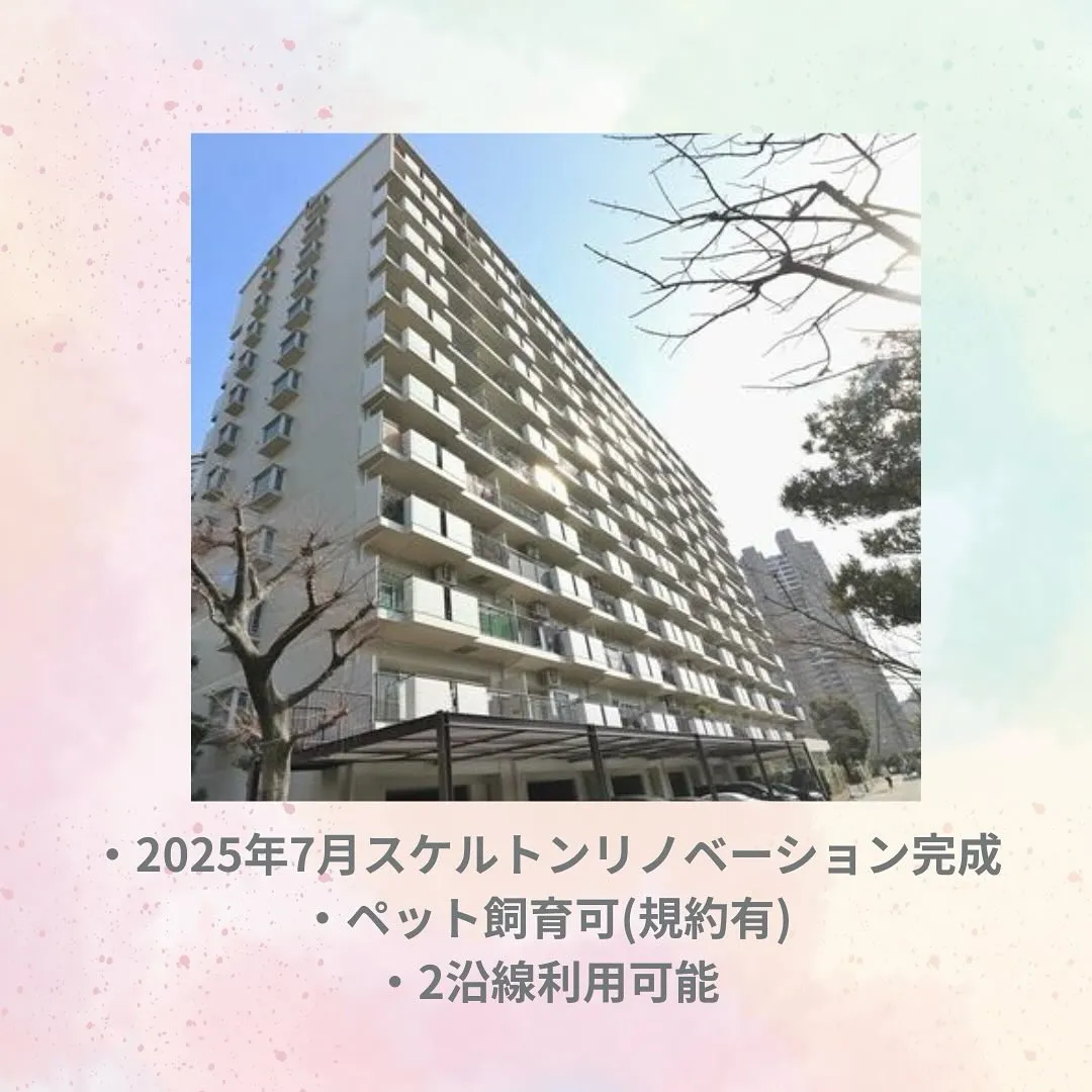 センチュリー21 ライズです✨