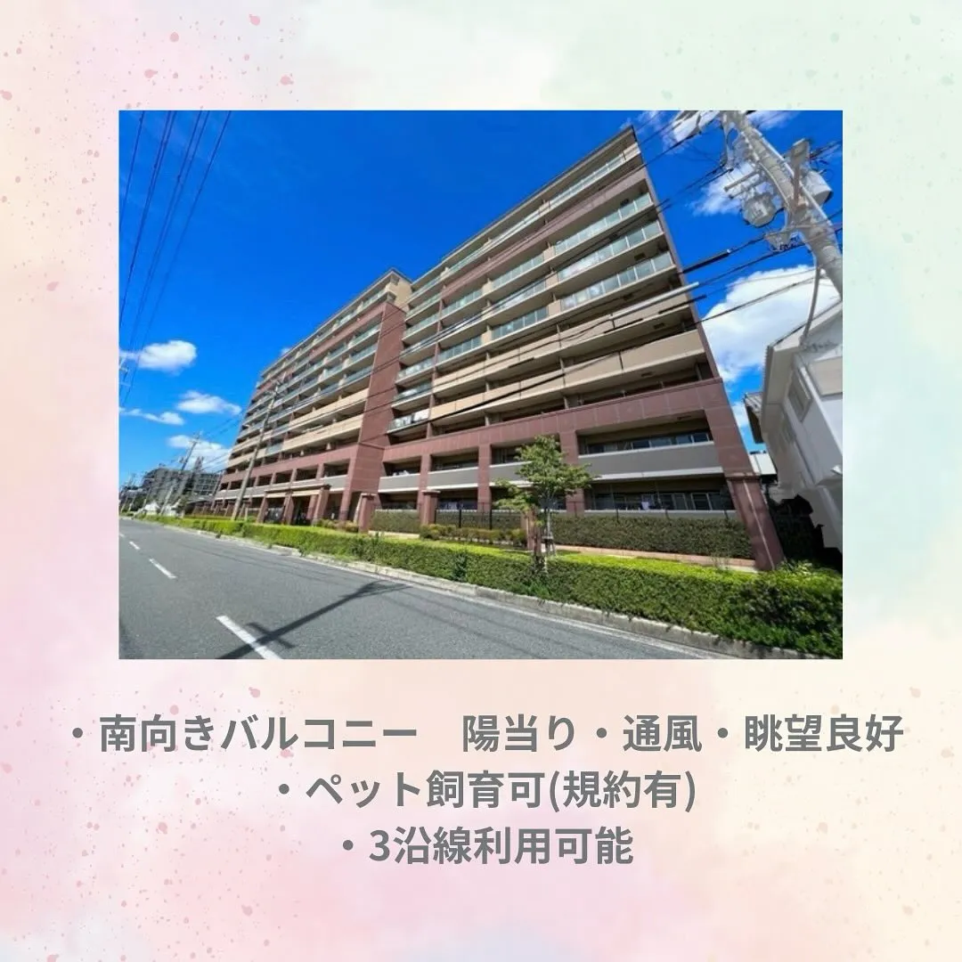 センチュリー21 ライズです✨