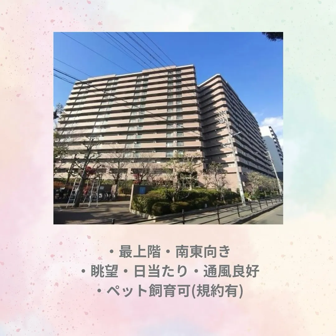 【最上階から望む開放感！ペットと暮らせる明るいお部屋🐶✨】