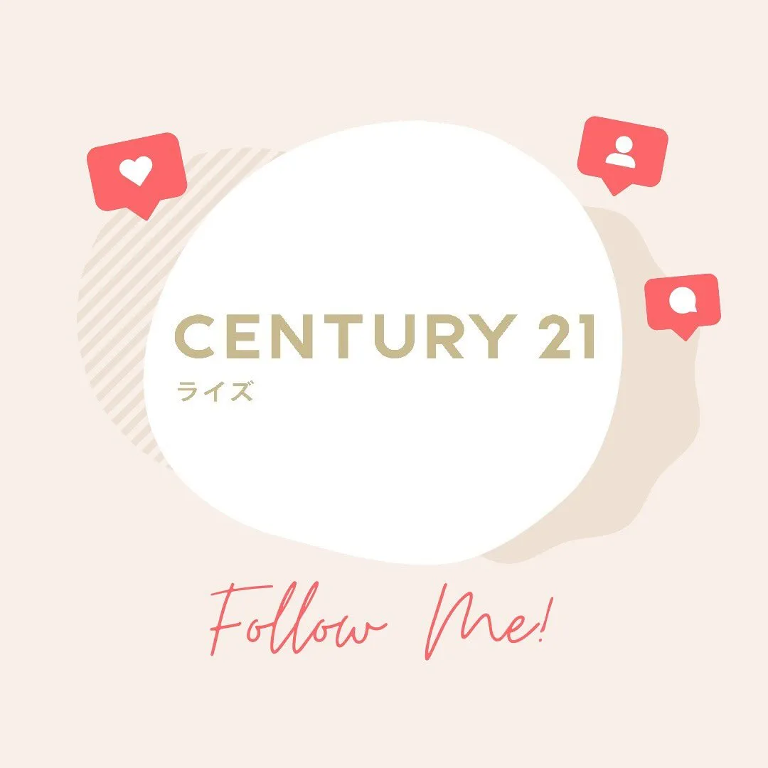 【最上階から望む開放感！ペットと暮らせる明るいお部屋🐶✨】