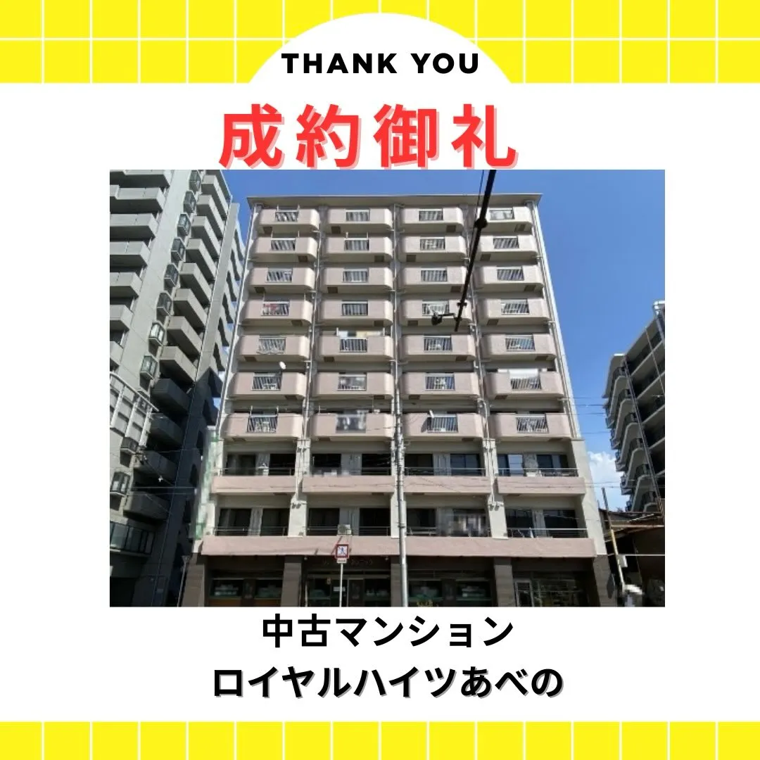 🎉成約御礼🎉